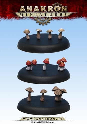 Kit de champignons